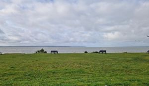 Photo 2- click for photo gallery